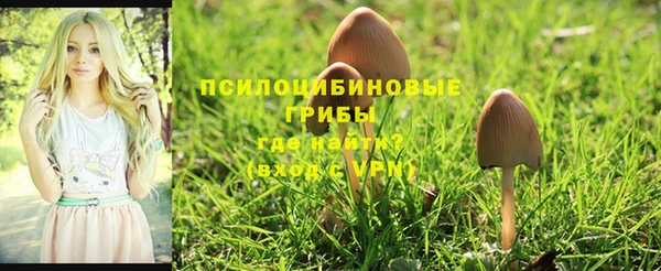 дживик Алзамай