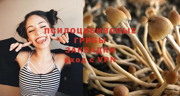 мяу мяу мука Абдулино