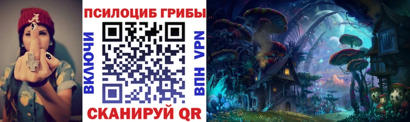 Галлюциногенные грибы Cubensis  купить  сайты  Таштагол 