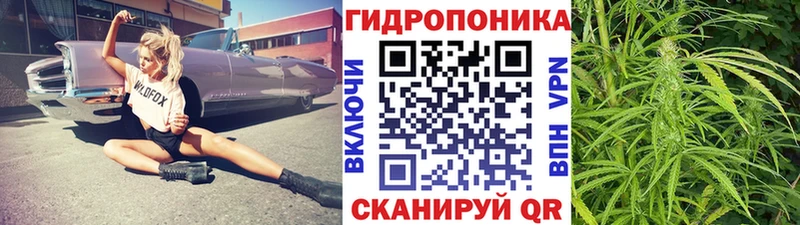 мега вход  купить наркотик  Таштагол  Бошки Шишки MAZAR 